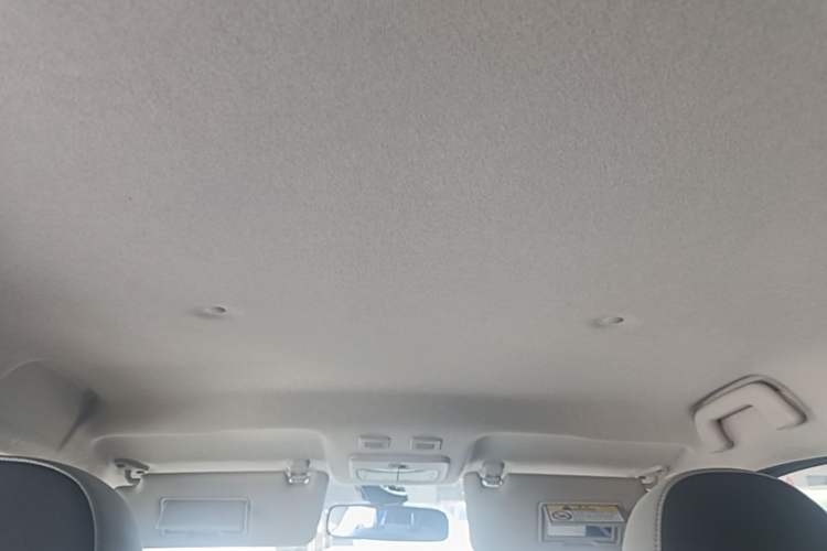 Used ORA Black Cat 2021 301 km Basic Version Headliner