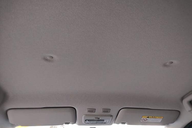 Used ORA Black Cat 2021 301 km Basic Version Headliner