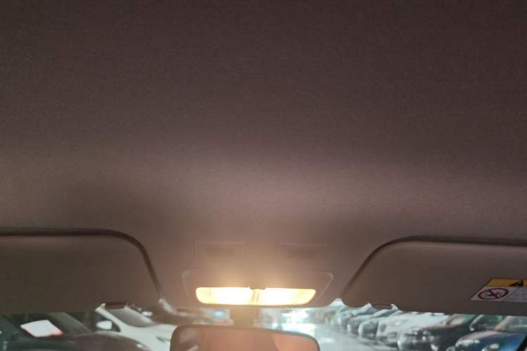 Used ORA Black Cat 2021 301 km Basic Version Headliner