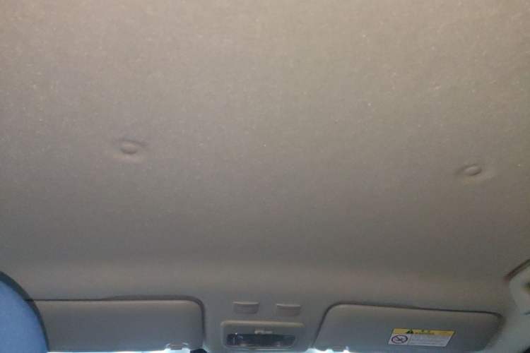 Used ORA Black Cat 2021 351 km Luxury Version Headliner