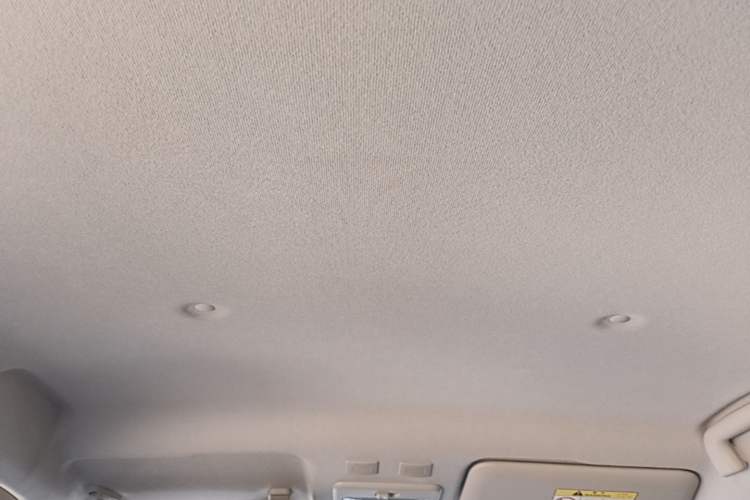 Used ORA Black Cat 2021 301km Cute Pet Edition Headliner