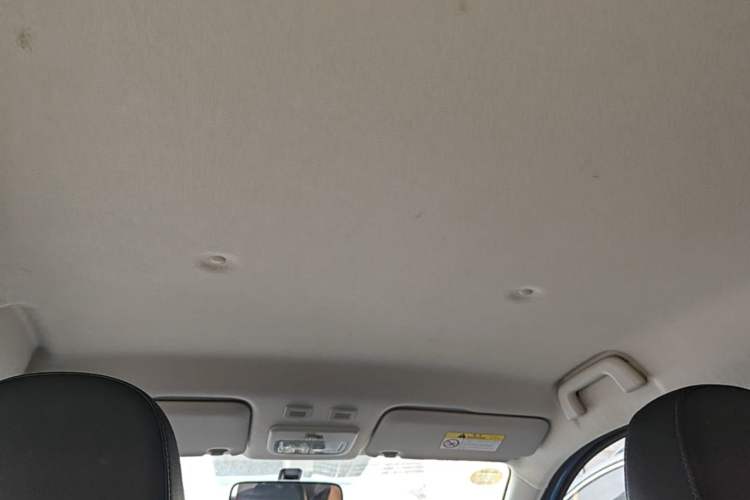 Used ORA Black Cat 2021 351 km Standard Version Headliner