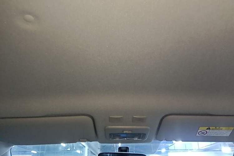 Used ORA Black Cat 2021 301 km Basic Version Headliner