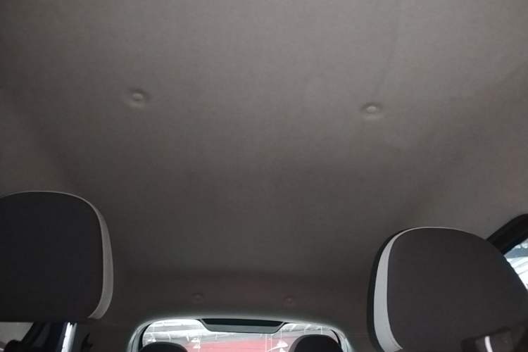 Used ORA Black Cat 2021 351 km Luxury Version Headliner