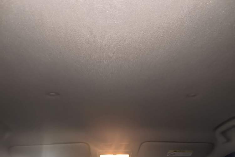 Used ORA Black Cat 2021 351 km Luxury Version Headliner