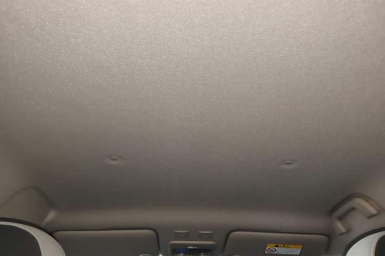 Used ORA Black Cat 2021 301 km Basic Version Headliner