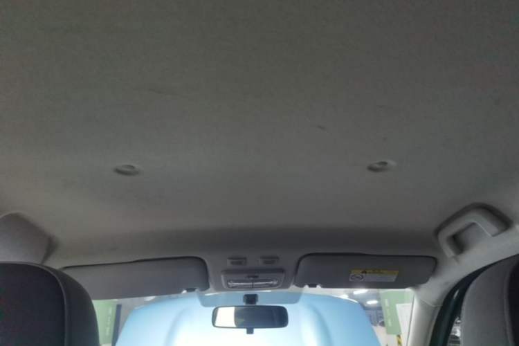 Used ORA Black Cat 2021 301 km Basic Version Headliner