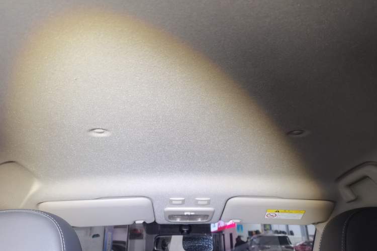 Used ORA Black Cat 2021 351 km Standard Version Headliner