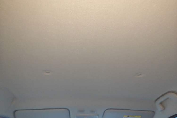 Used ORA Black Cat 2021 351 km Luxury Version Headliner