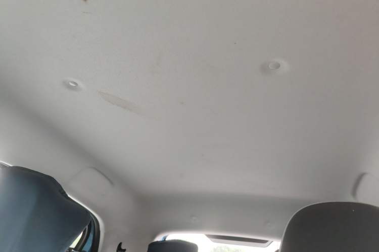 Used ORA Black Cat 2021 301 km Basic Version Headliner
