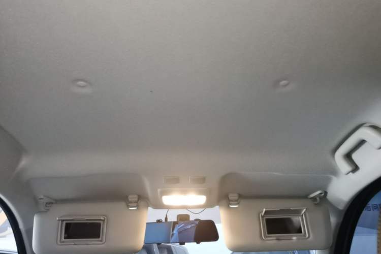 Used ORA Black Cat 2021 351 km Standard Version Headliner