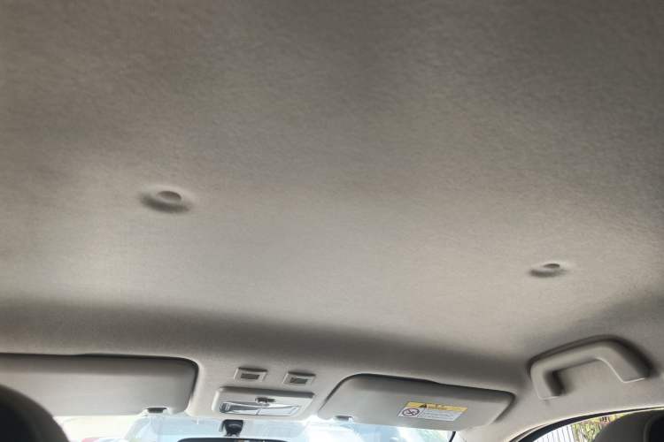 Used ORA Black Cat 2021 301km Cute Pet Edition Headliner