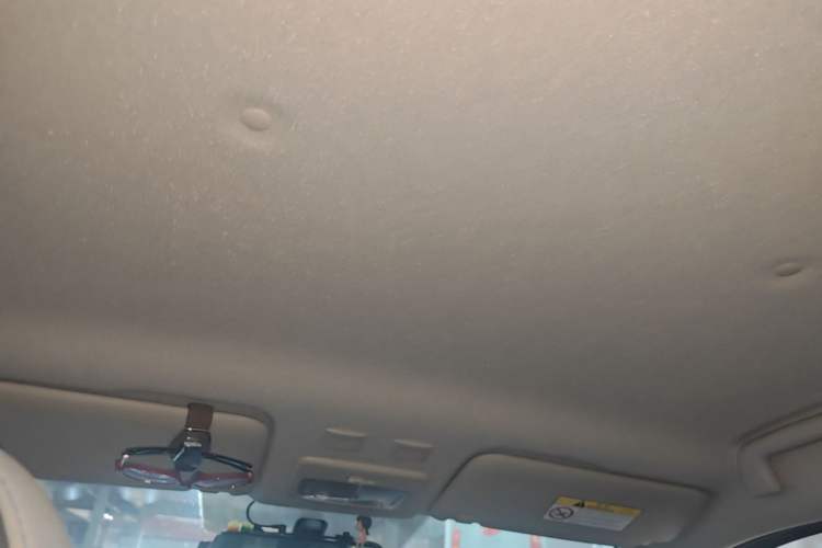 Used ORA Black Cat 2021 301 km Basic Version Headliner