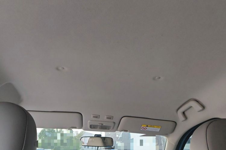 Used ORA Black Cat 2021 301 km Basic Version Headliner