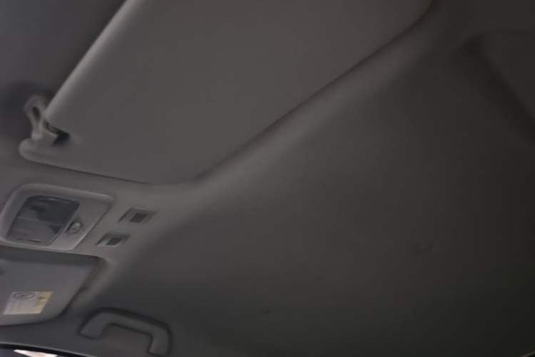 Used ORA Black Cat 2021 301 km Basic Version Headliner