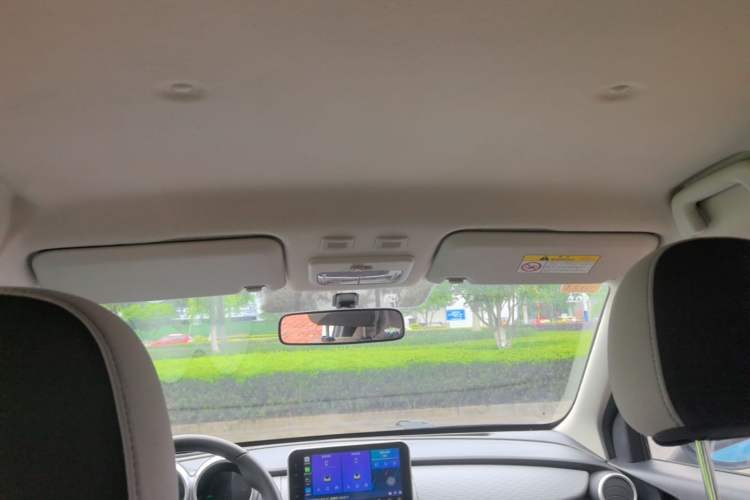 Used ORA Black Cat 2021 301 km Basic Version Headliner