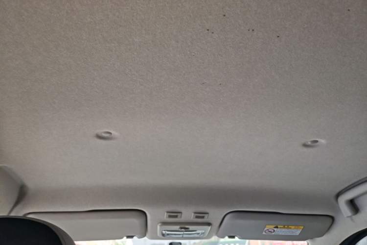 Used ORA Black Cat 2021 301 km Basic Version Headliner