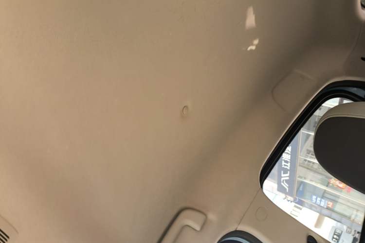 Used ORA Black Cat 2021 301 km Basic Version Headliner
