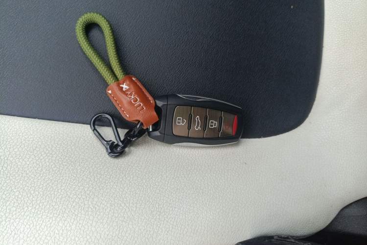 Used ORA Black Cat 2021 301 km Basic Version Interior 1