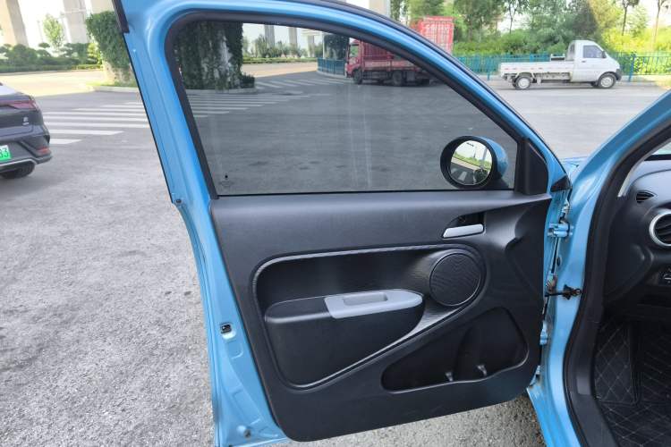 Used ORA Black Cat 2021 301 km Basic Version Left Front Door Interior