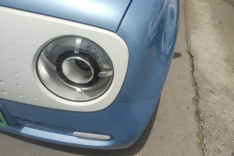 Used ORA Black Cat 2021 301km Cute Pet Edition Left Front Headlight