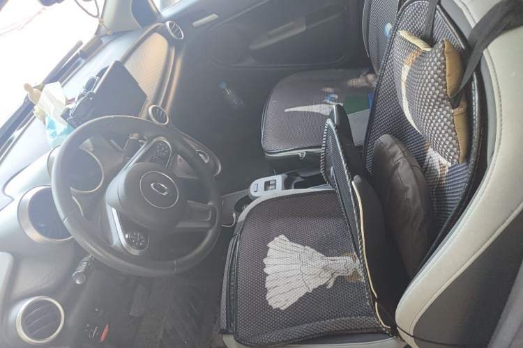 Used ORA Black Cat 2021 301 km Basic Version Left Front Seat