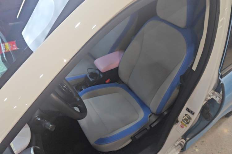 Used ORA Black Cat 2021 351 km Luxury Version Left Front Seat