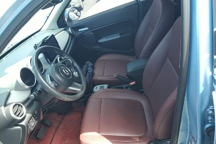 Used ORA Black Cat 2021 301 km Basic Version Left Front Seat