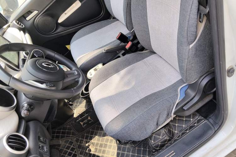 Used ORA Black Cat 2021 301 km Basic Version Left Front Seat