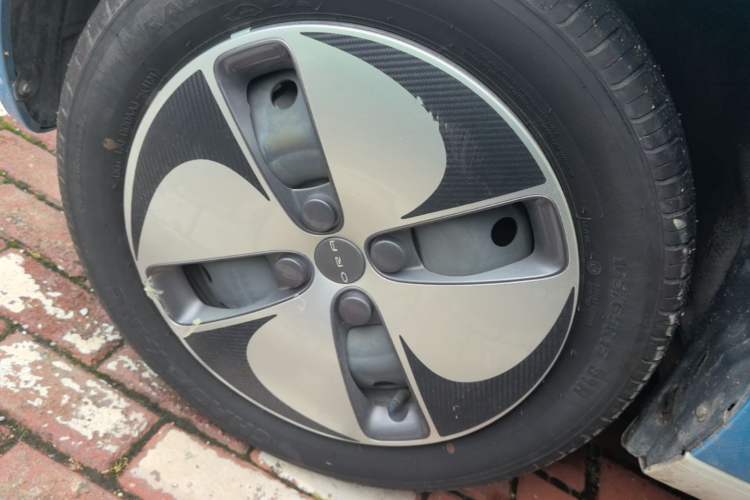 Used ORA Black Cat 2021 301 km Basic Version Left Front Wheel Hub