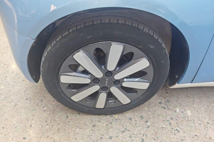 Used ORA Black Cat 2021 351 km Luxury Version Left Front Wheel Hub