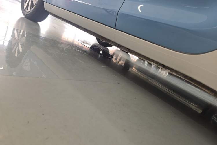 Used ORA Black Cat 2021 351 km Standard Version Left Side Sill