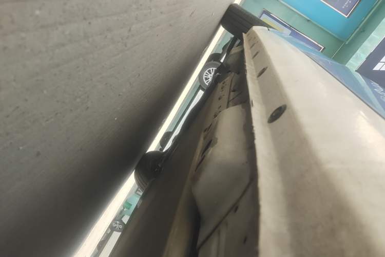 Used ORA Black Cat 2021 301km Cute Pet Edition Left Side Sill