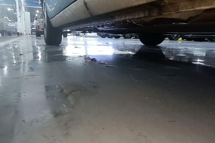 Used ORA Black Cat 2021 301 km Basic Version Left Side Sill