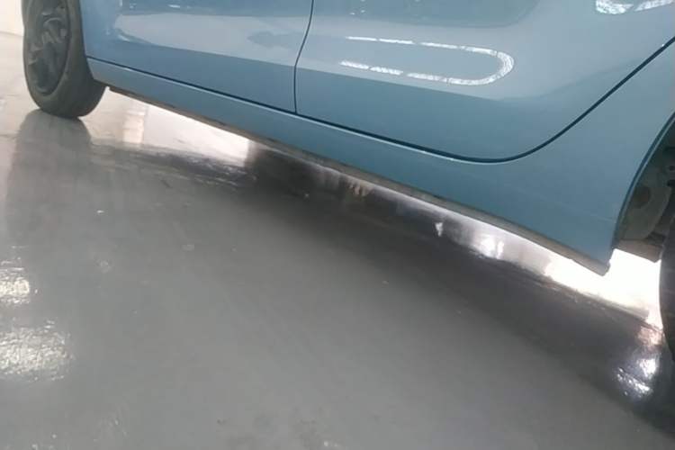 Used ORA Black Cat 2021 301 km Basic Version Left Side Sill