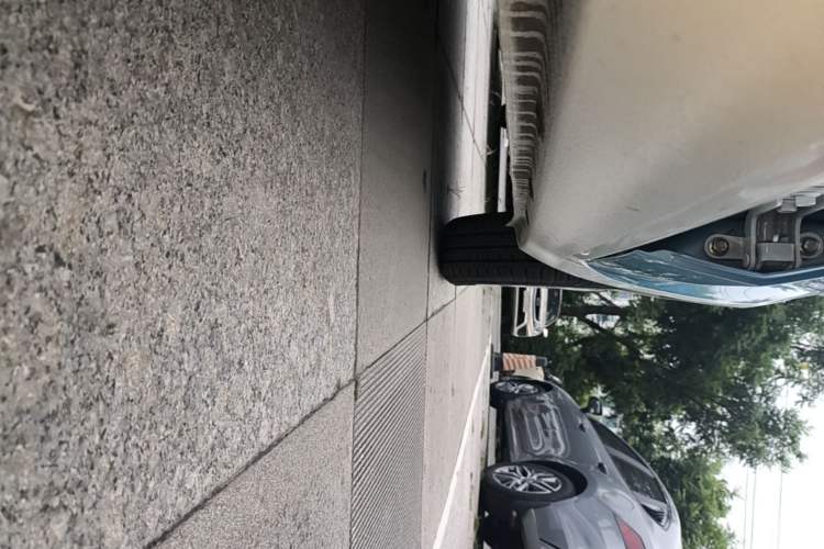 Used ORA Black Cat 2021 351 km Standard Version Left Side Sill