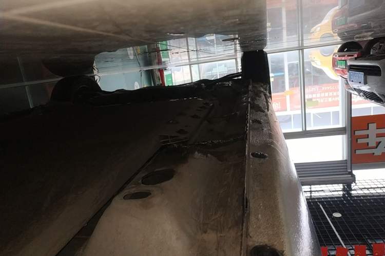Used ORA Black Cat 2021 301 km Basic Version Left Side Sill
