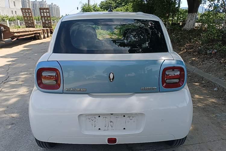 Used ORA Black Cat 2021 301km Cute Pet Edition Rear
