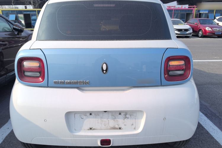 Used ORA Black Cat 2021 301km Cute Pet Edition Rear