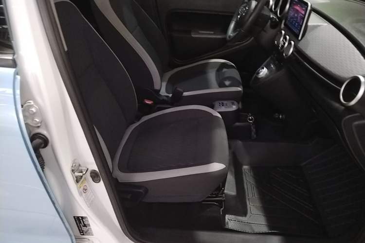 Used ORA Black Cat 2021 351 km Luxury Version Right Front Seat