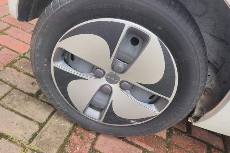 Used ORA Black Cat 2021 301 km Basic Version Right Rear Wheel Hub