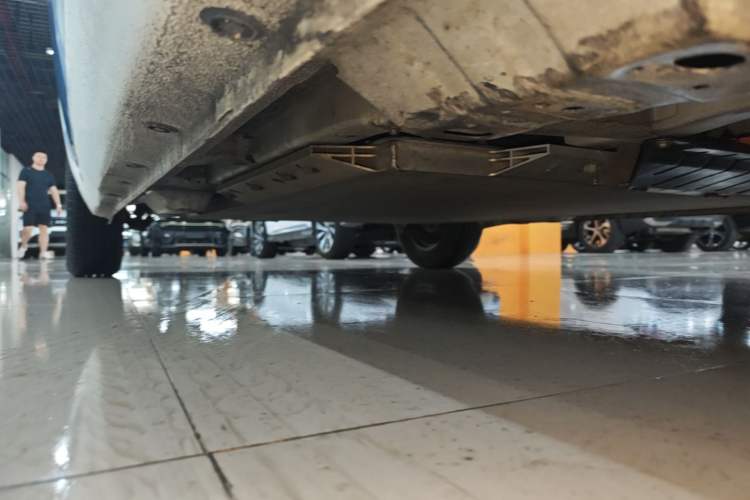Used ORA Black Cat 2021 301 km Basic Version Right Side Sill