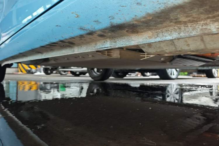 Used ORA Black Cat 2021 351 km Standard Version Right Side Sill