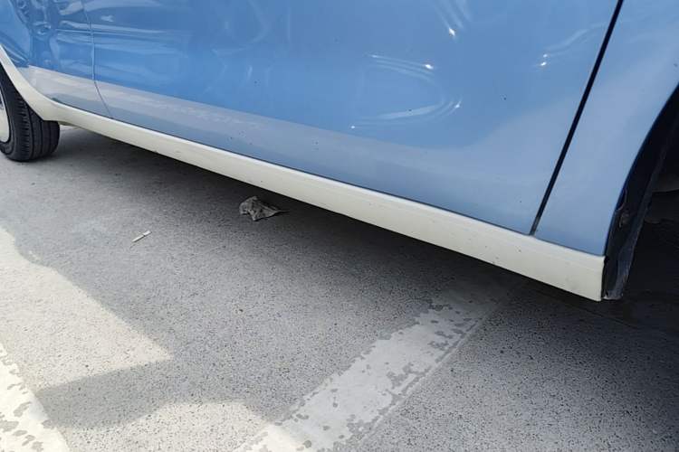 Used ORA Black Cat 2021 301 km Basic Version Right Side Sill