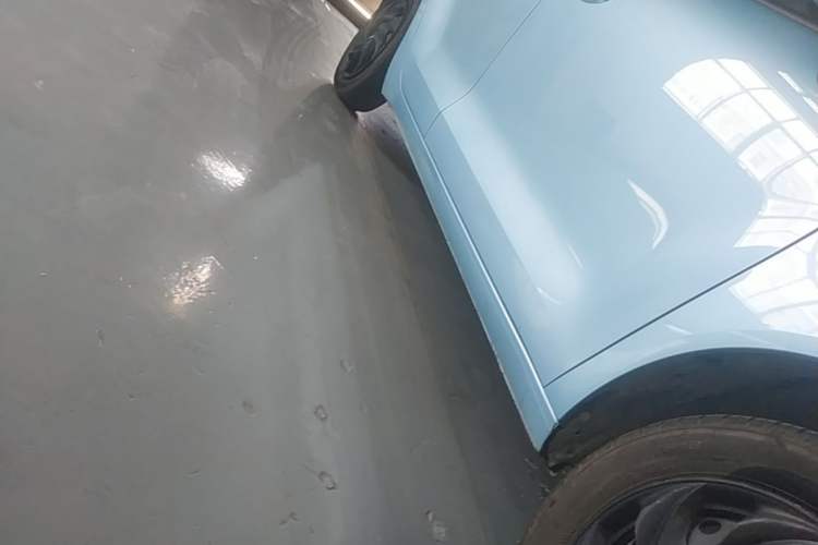 Used ORA Black Cat 2021 301 km Basic Version Right Side Sill
