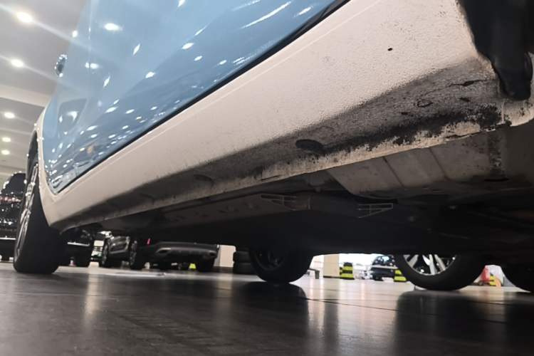 Used ORA Black Cat 2021 351 km Luxury Version Right Side Sill