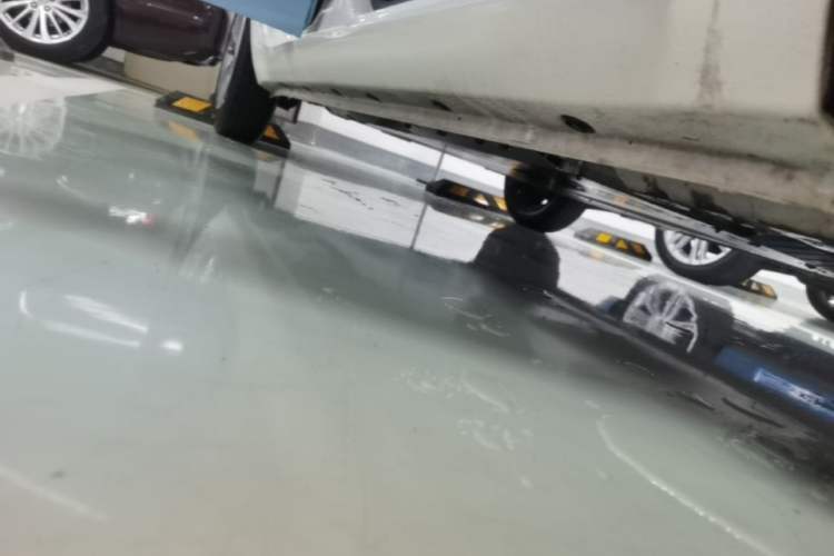 Used ORA Black Cat 2021 301 km Basic Version Right Side Sill
