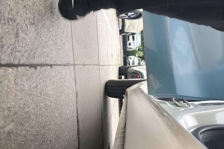 Used ORA Black Cat 2021 351 km Standard Version Right Side Sill