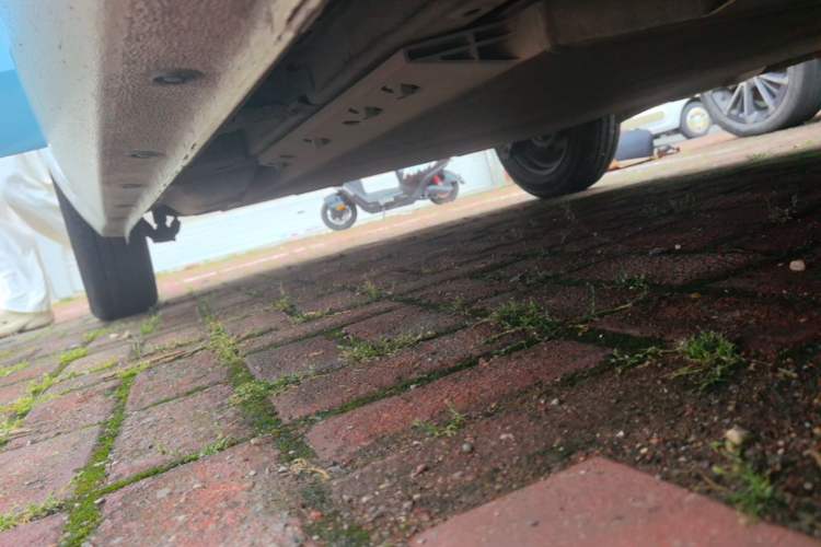 Used ORA Black Cat 2021 301 km Basic Version Right Side Sill