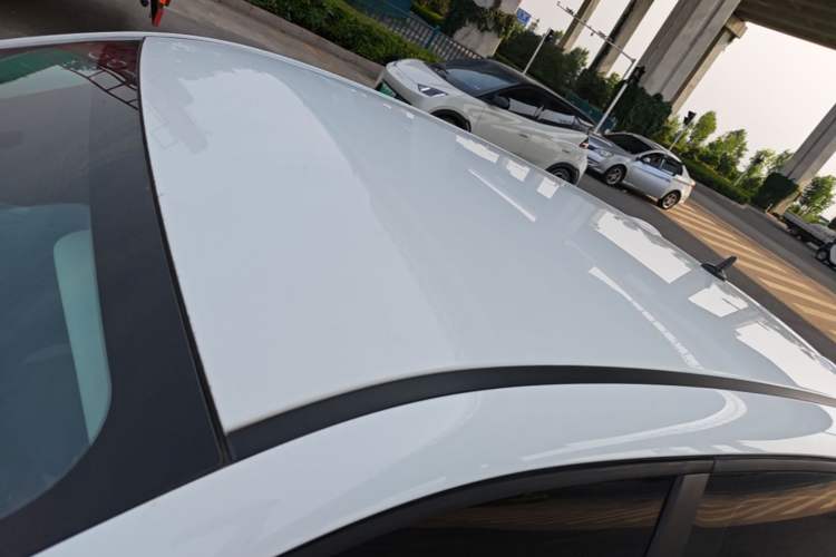 Used ORA Black Cat 2021 301 km Basic Version Roof